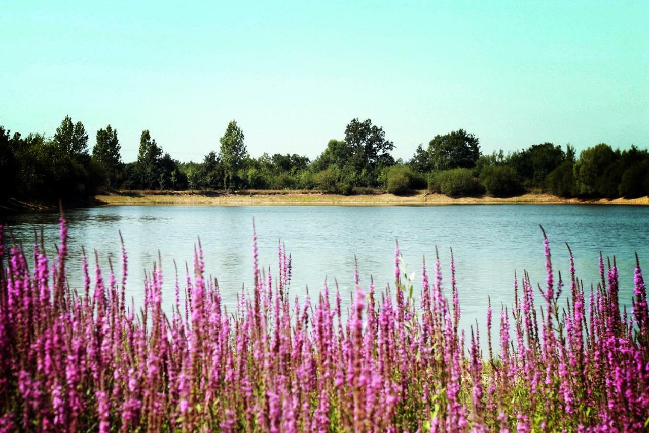 Camping Au Pre De L'Etang Sainte-Foy  外观 照片